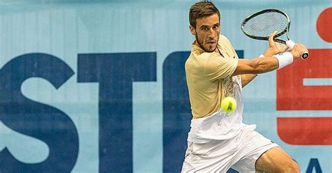 damir dzumhur biografija.